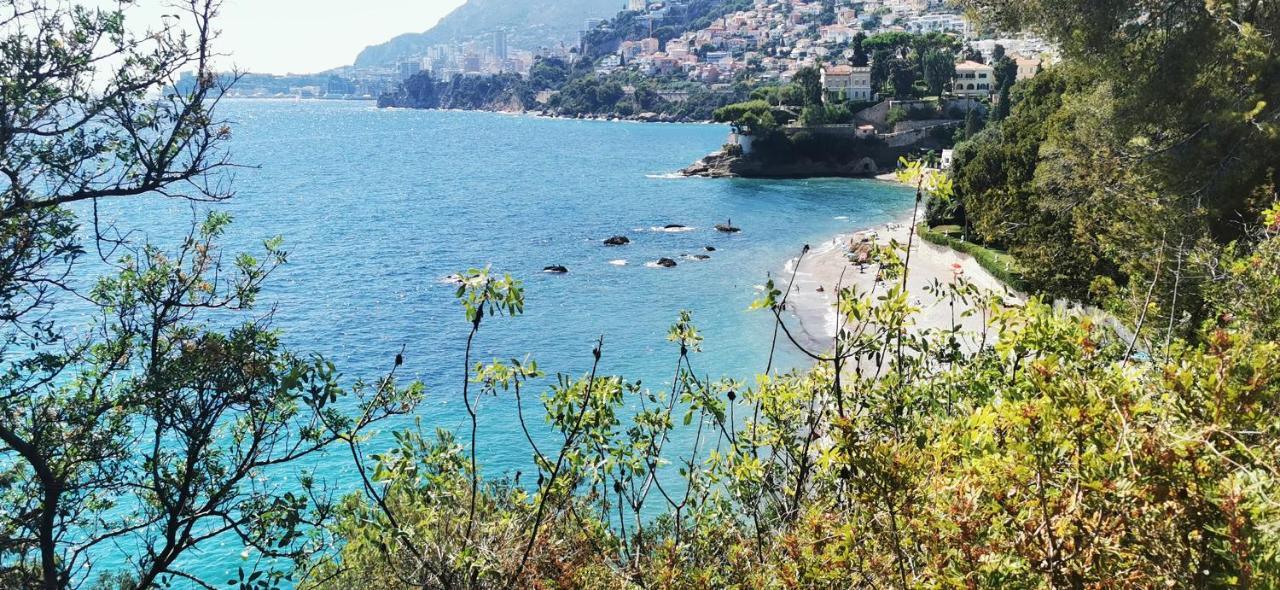 Vue magnifique avec piscine privée et sauna à 10min de Monaco Roquebrune-Cap-Martin Exterior foto